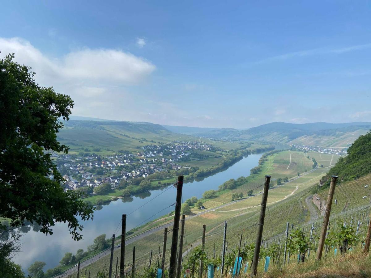 Neu!!! Moselbleibe Winzerhaus Kues Appartement Verbandsgemeinde Verbandsgemeinde Bernkastel-Kues Buitenkant foto