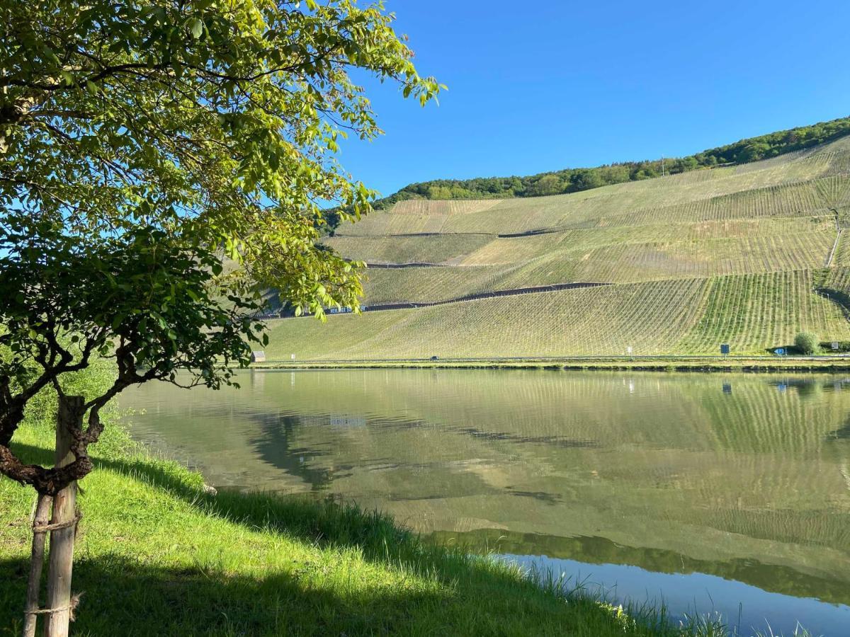Neu!!! Moselbleibe Winzerhaus Kues Appartement Verbandsgemeinde Verbandsgemeinde Bernkastel-Kues Buitenkant foto